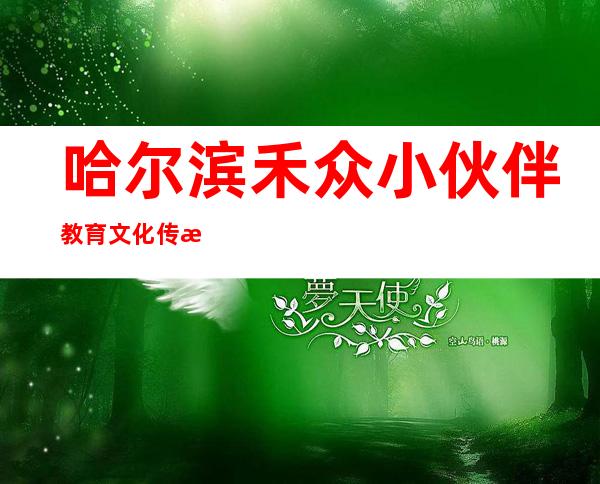 哈尔滨禾众小伙伴教育文化传播有限公司
