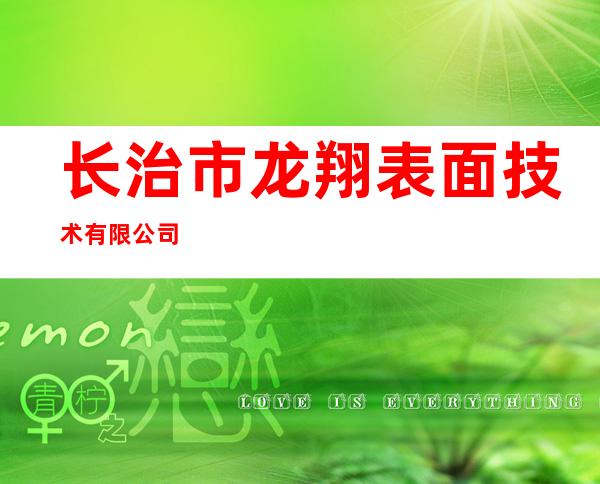 长治市龙翔表面技术有限公司